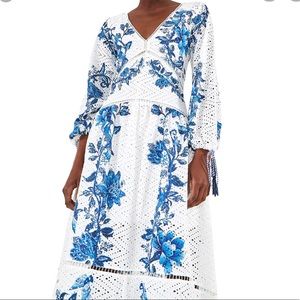 FARM Rio Arara Floral Maxi Dress